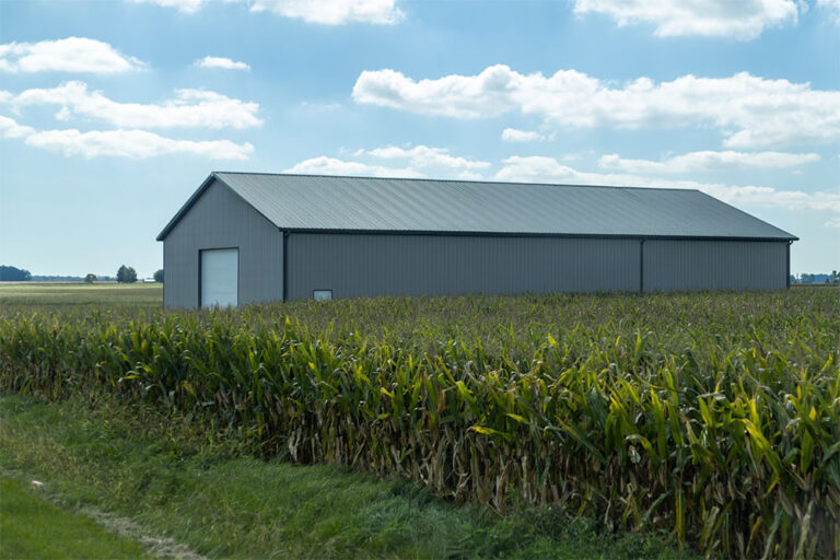 Prefab Agricultural Building