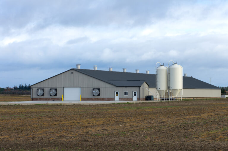 Steel Agricultural Building