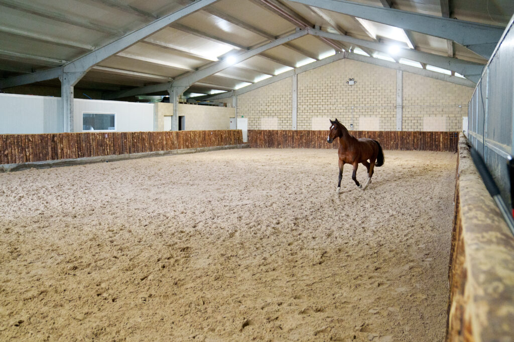 Steel Horse Barn